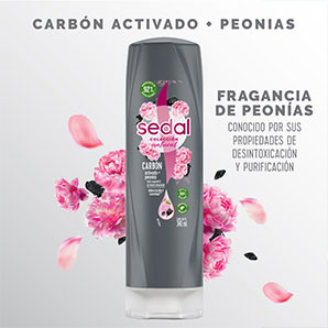 Acondicionador Sedal Detox 340ml | Inkafarma