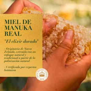 Shampoo Herbal Essences Bio:Renew Bourbon Manuka Honey