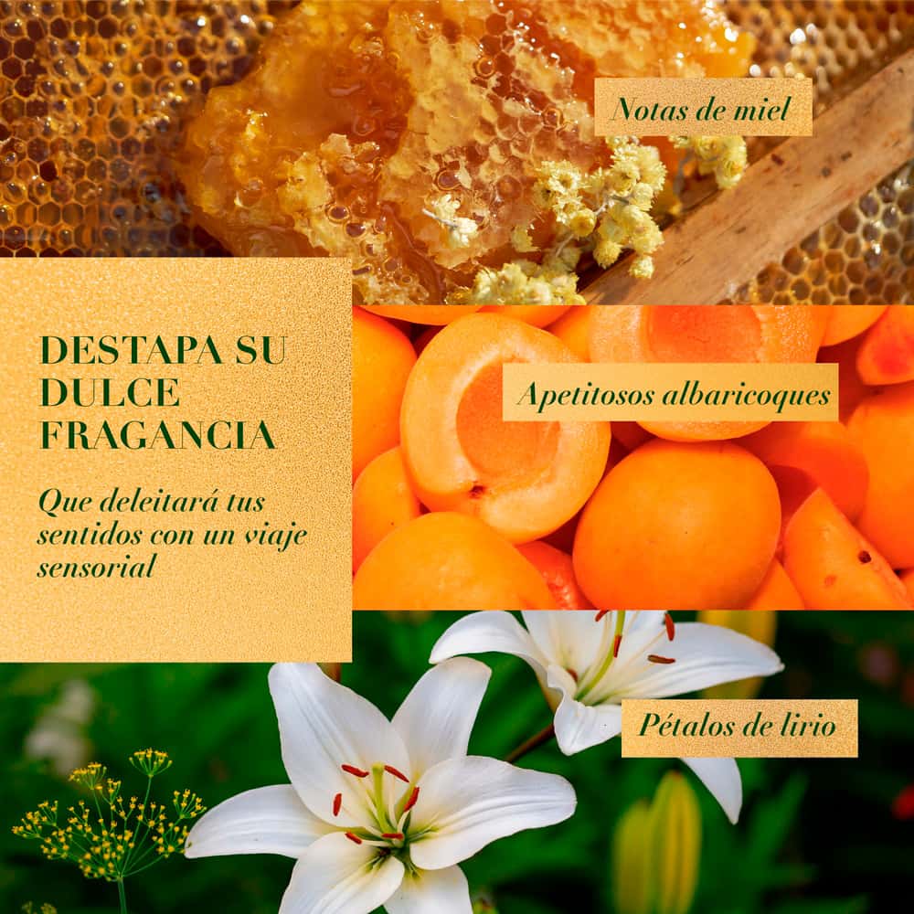 Shampoo Herbal Essences Bio:Renew Bourbon Manuka Honey