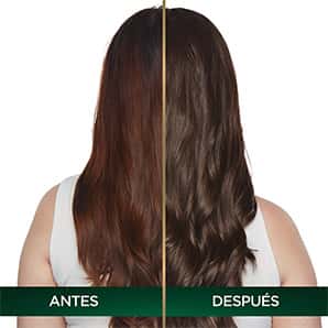 Tinte para Cabello Garnier Nutrisse Rubio Oscuro 6.0