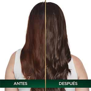 Tinte para Cabello Garnier Nutrisse Rubio Oscuro 6.0
