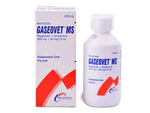Gaseovet MS 800 mg + 60 mg/10 ml Suspensión Oral - Frasco 220 ml